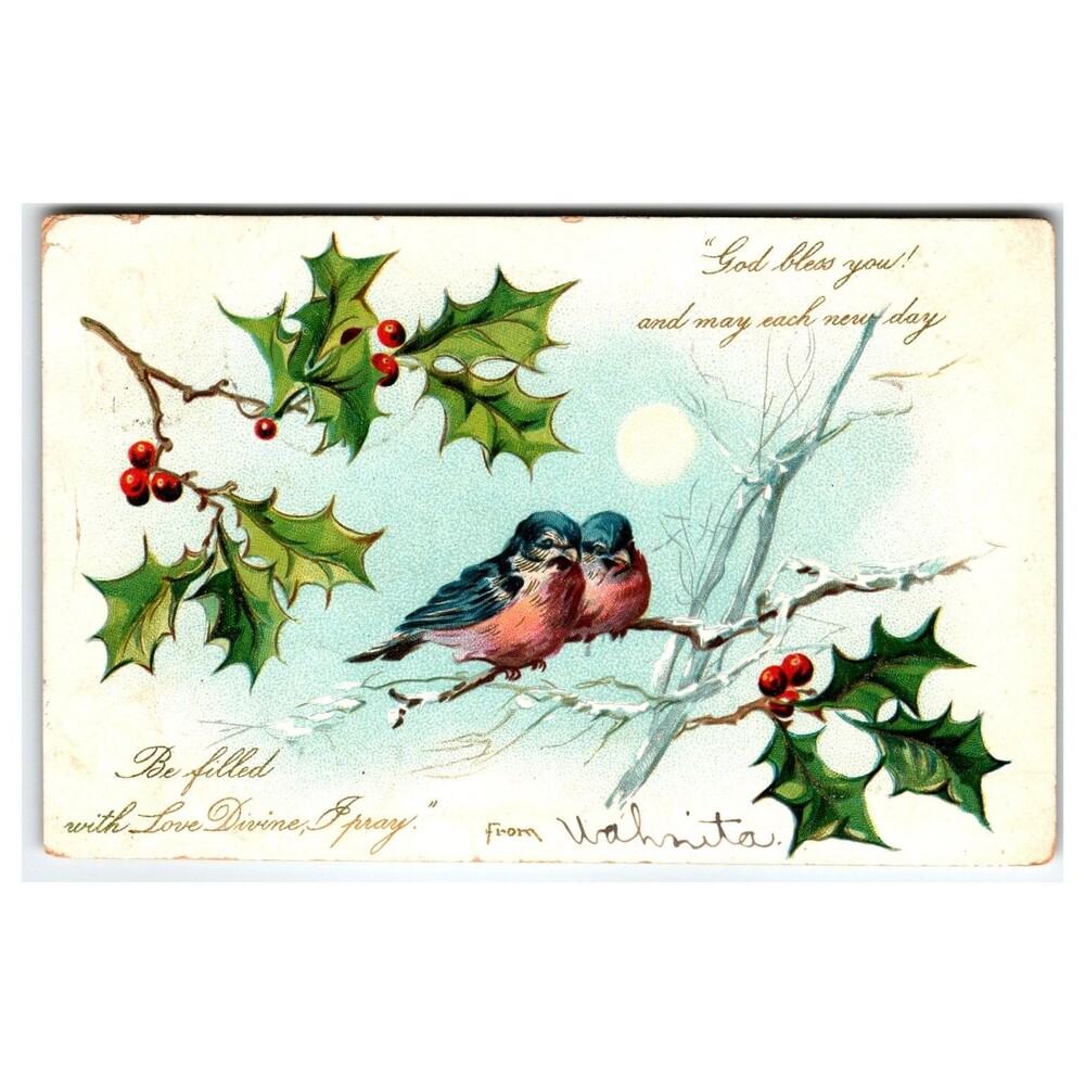 1905 Christmas Postcard Wahmita Birds Holly Winter Moon Ohio Postmark